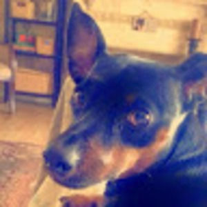 Meet your Posher, Zvart